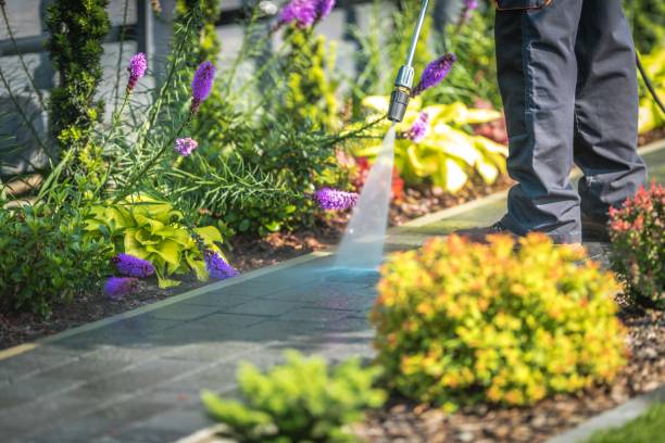 Best Winterizing Services  in Pembroke, VA