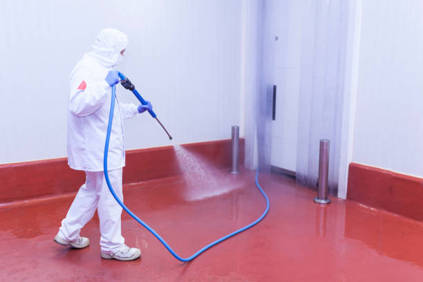 Best Solar Panel Cleaning  in Pembroke, VA